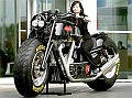 Gunbus 29